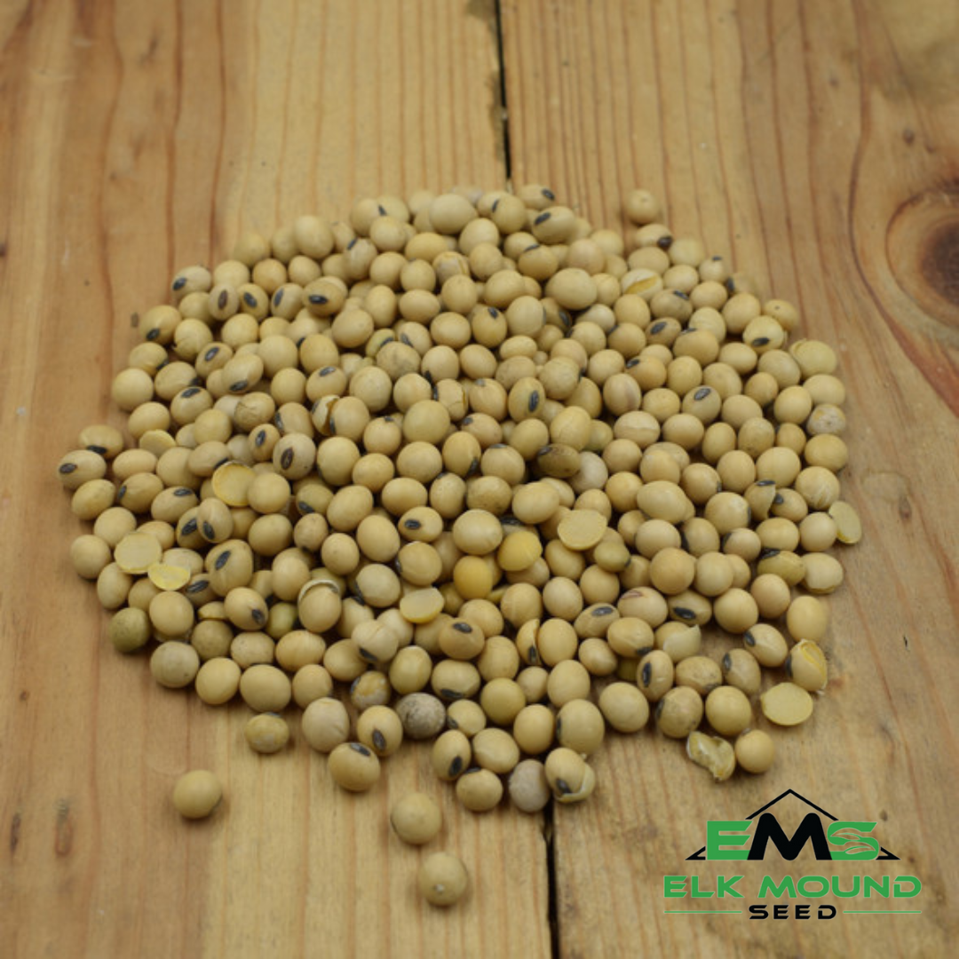 Stutsman Soybean - 0.7 RM