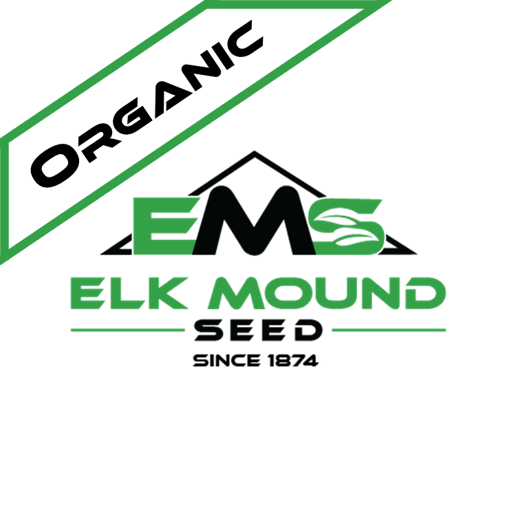 Organic Alfalfa Seed