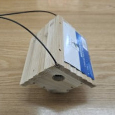 Wren Traditional Hanging Bird House