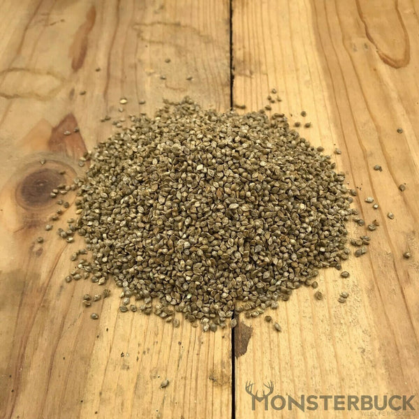 ☆millet☆ Bob's Red Mill Whole Grain Millet - Lunds & Byerlys