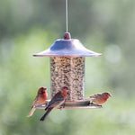 Copper Panorama Feeder - Perky Pet