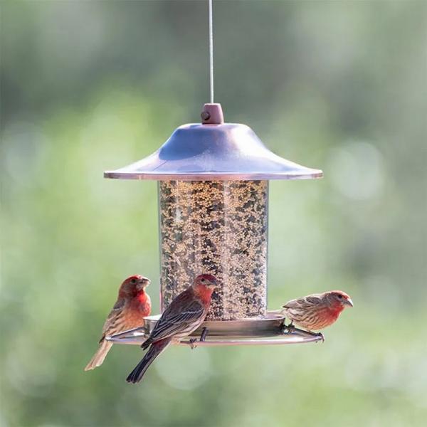 Copper Panorama Feeder - Perky Pet