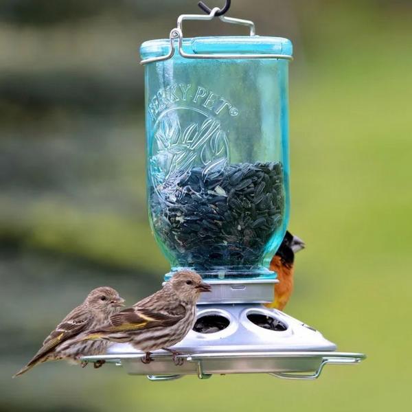 Mason Jar Seed Feeder