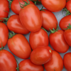 Roma VF Tomato