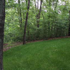Shady Lawn Turf Seed Mix