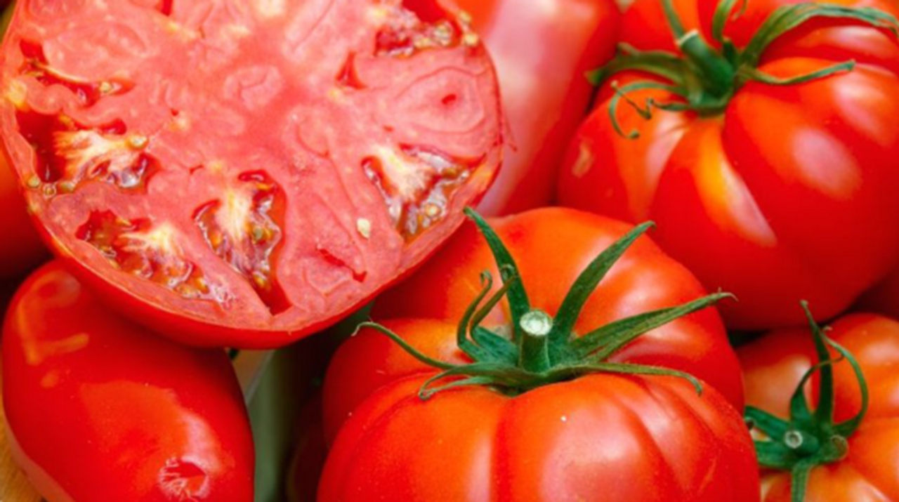 Beefsteak Tomato