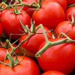 Large Red Cherry Tomato