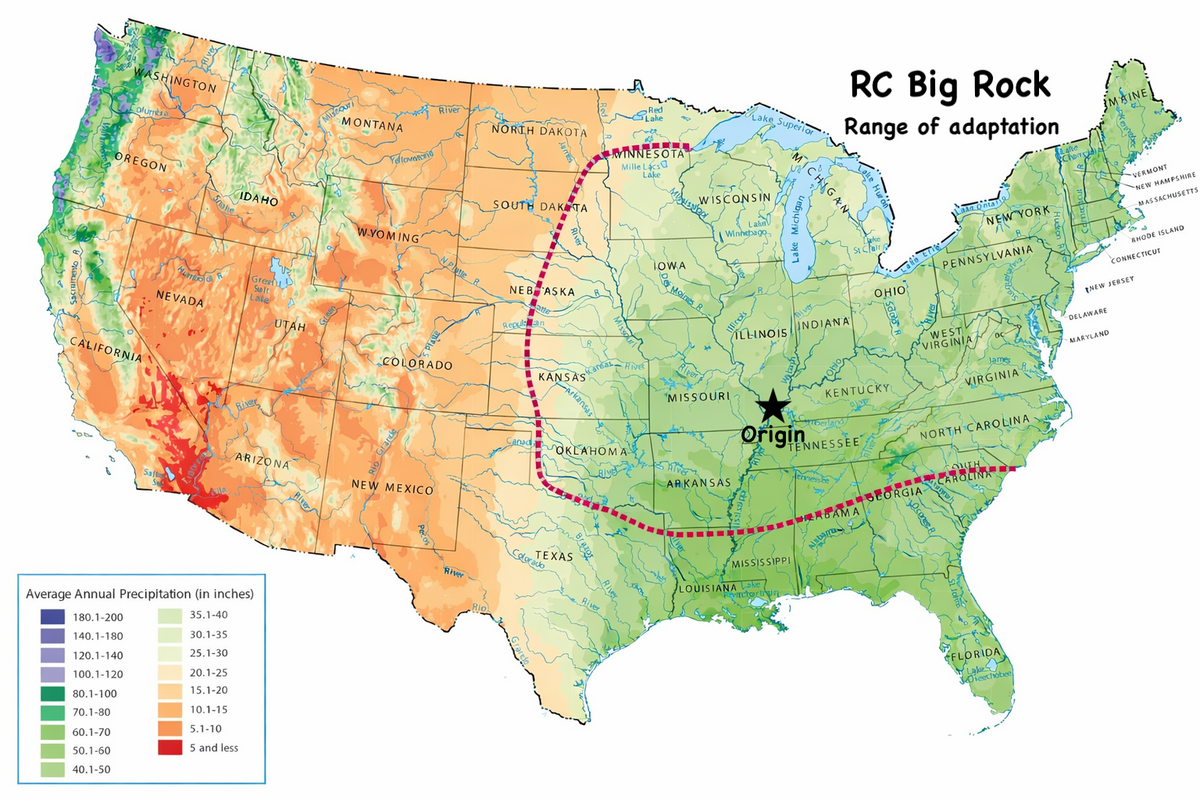 Wiregrass Range Map switchgrass, switch grass, native grass, grasses, habitat, Deer cover ...