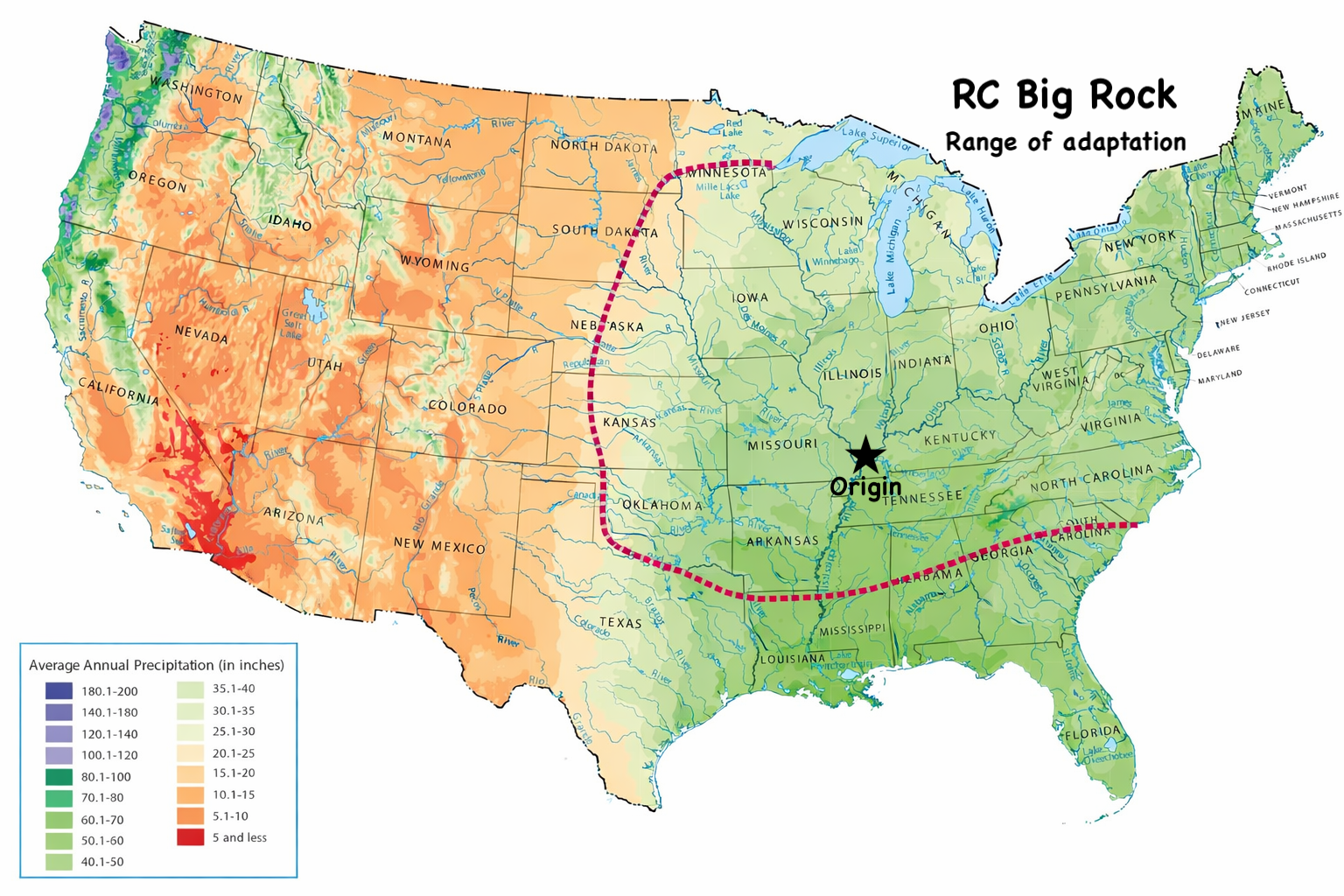 RC Big Rock Switchgrass Seed (Panicum virgatum)