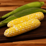 Revision Attribute II Sweet Corn (Roundup Ready)