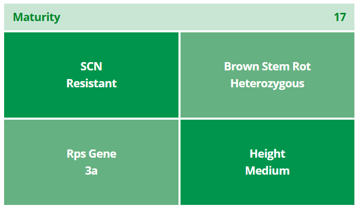 Stine 17EE32 Enlist Soybean