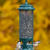Squirrel Buster Legacy - Brome