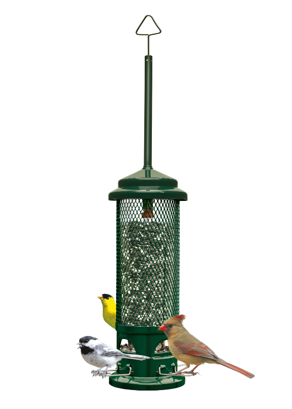 Squirrel Buster Legacy - Brome