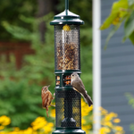 Squirrel Buster Peanut - Brome