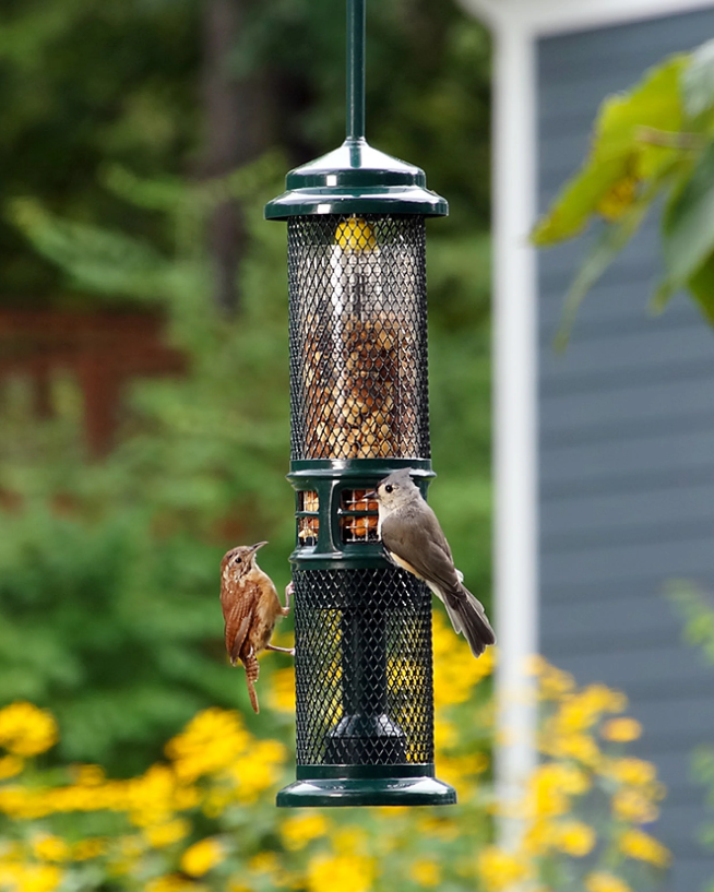 Squirrel Buster Peanut - Brome