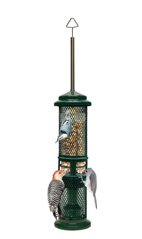 Squirrel Buster Peanut - Brome