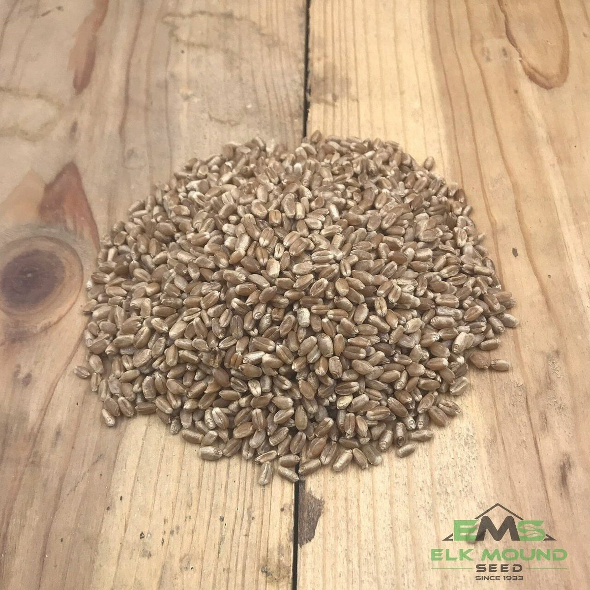 Certified Linkert Spring Wheat