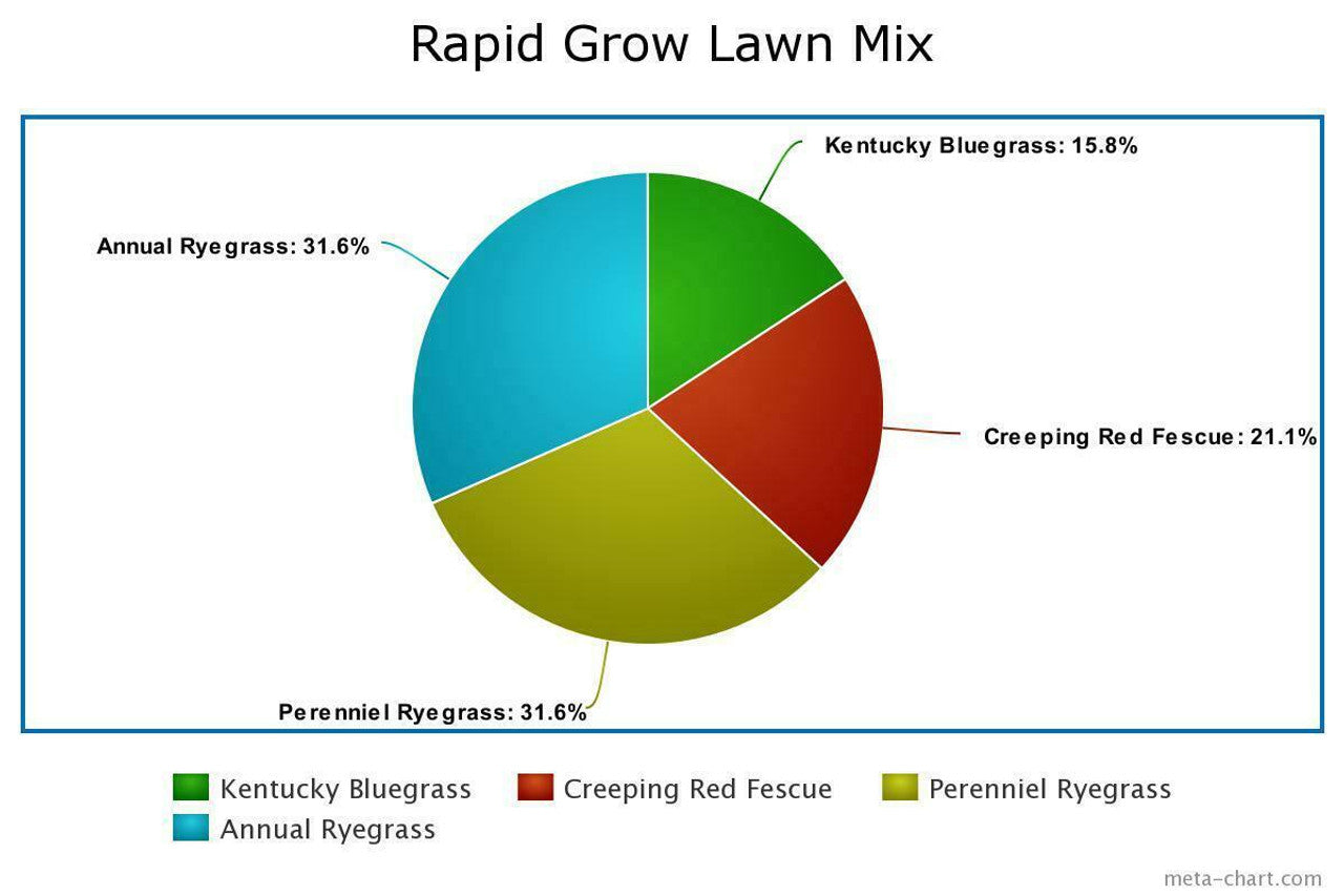 Rapid Grow Lawn Mix