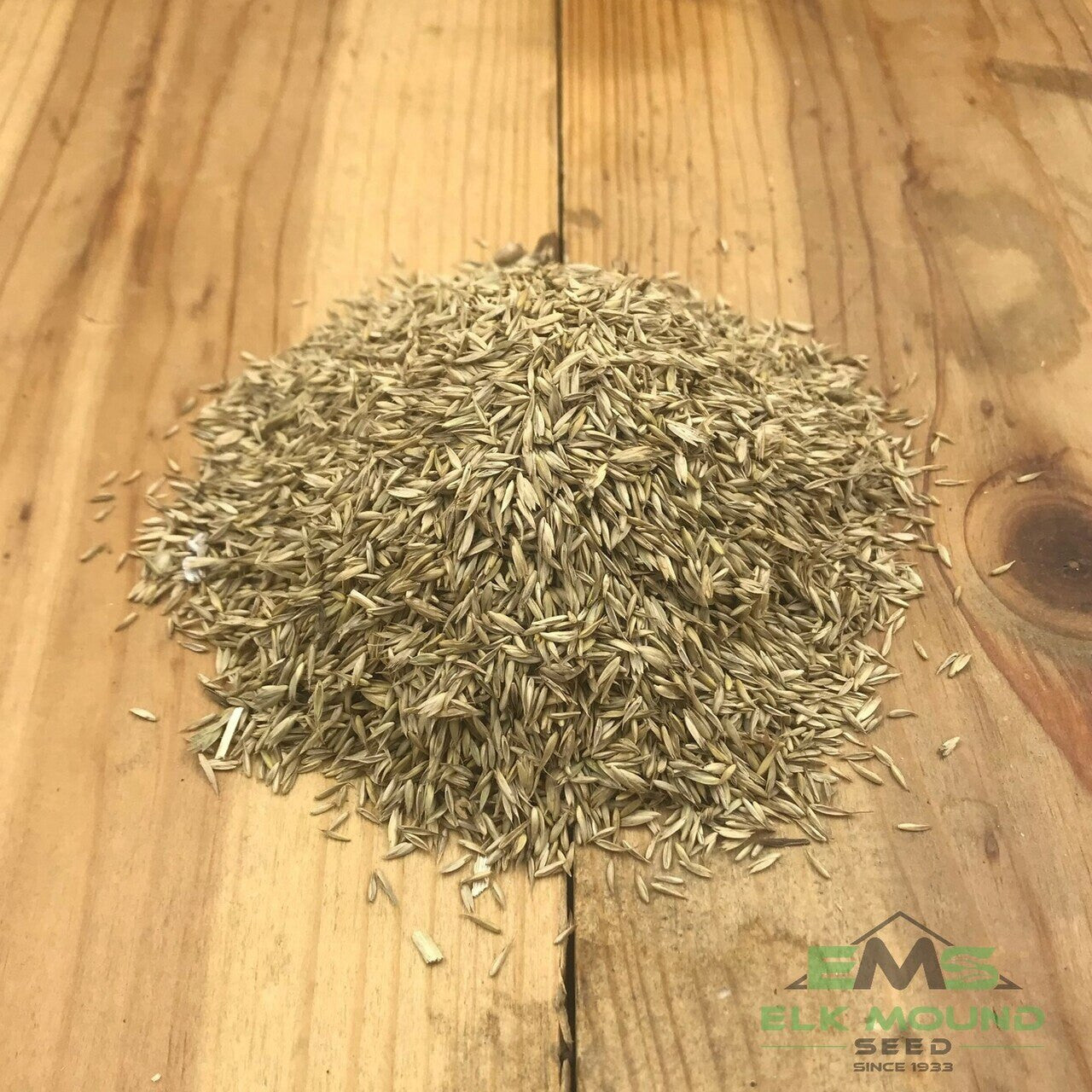 Turf Type Tall Fescue Seed