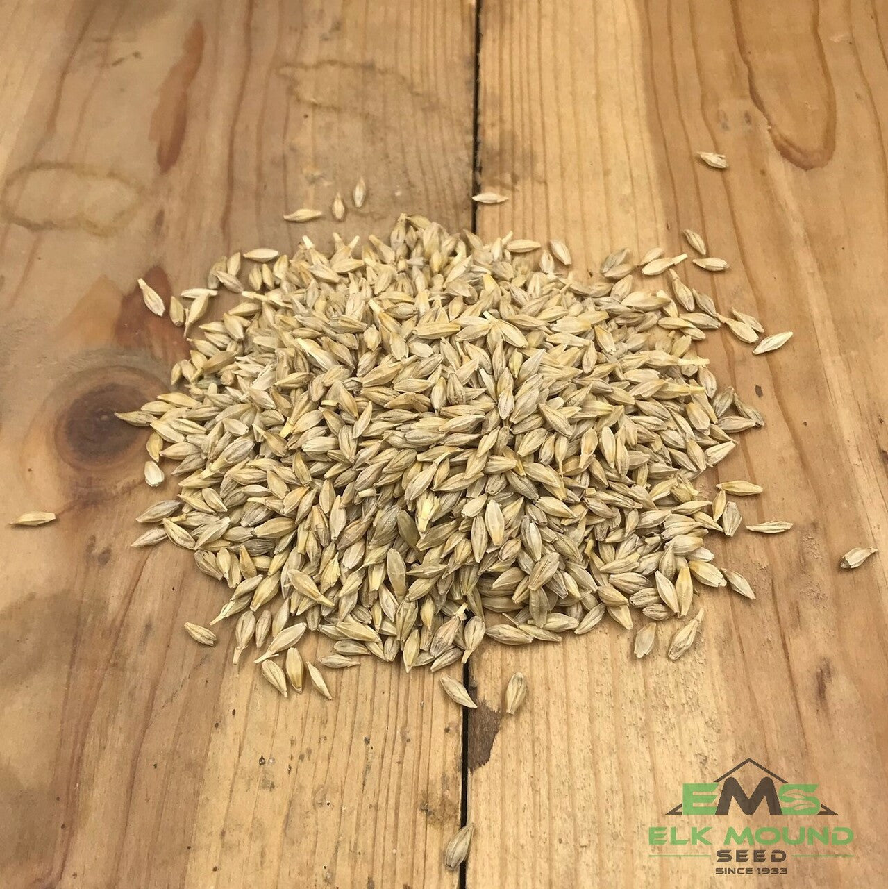 Certified Churchill Barley