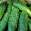 Marketmore 76 Cucumber Seed