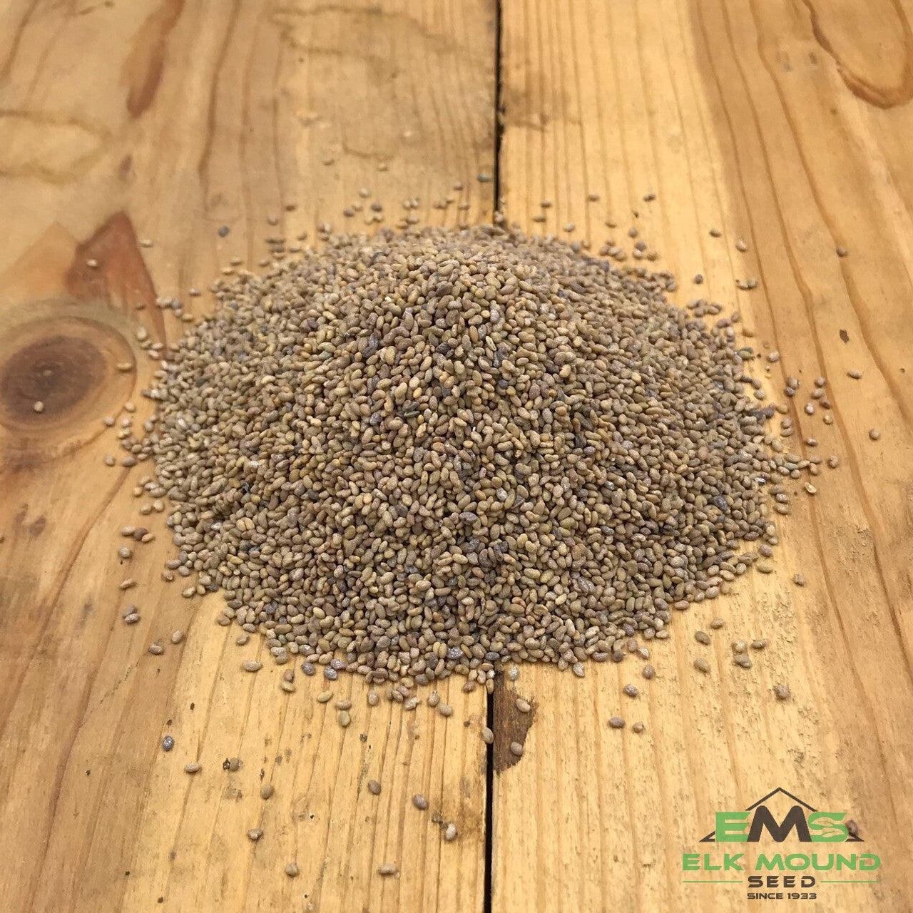 Organic Alfalfa Seed