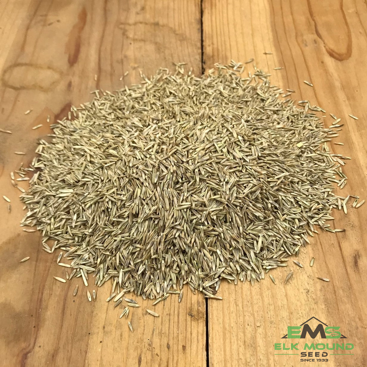 Turf Type Perennial Ryegrass Seed