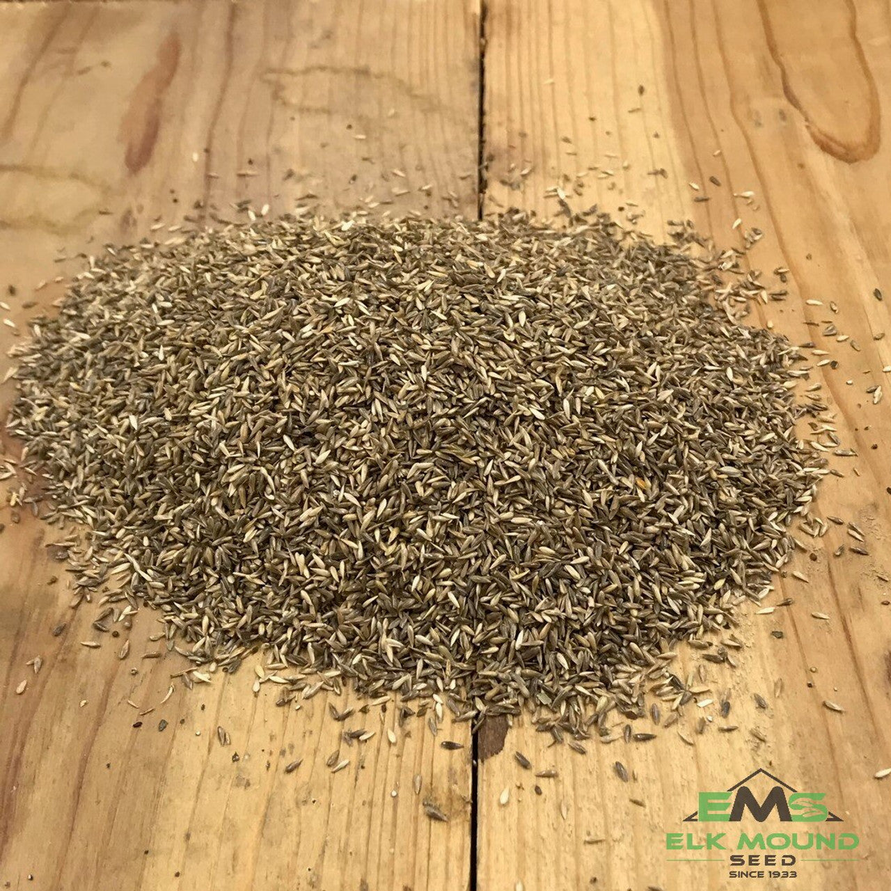 Reed Canarygrass Seed