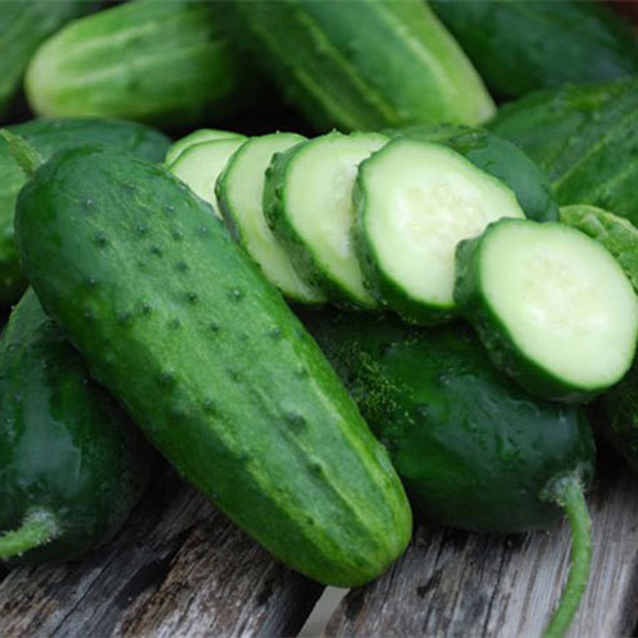 Boston Pickling Cucumber Seed