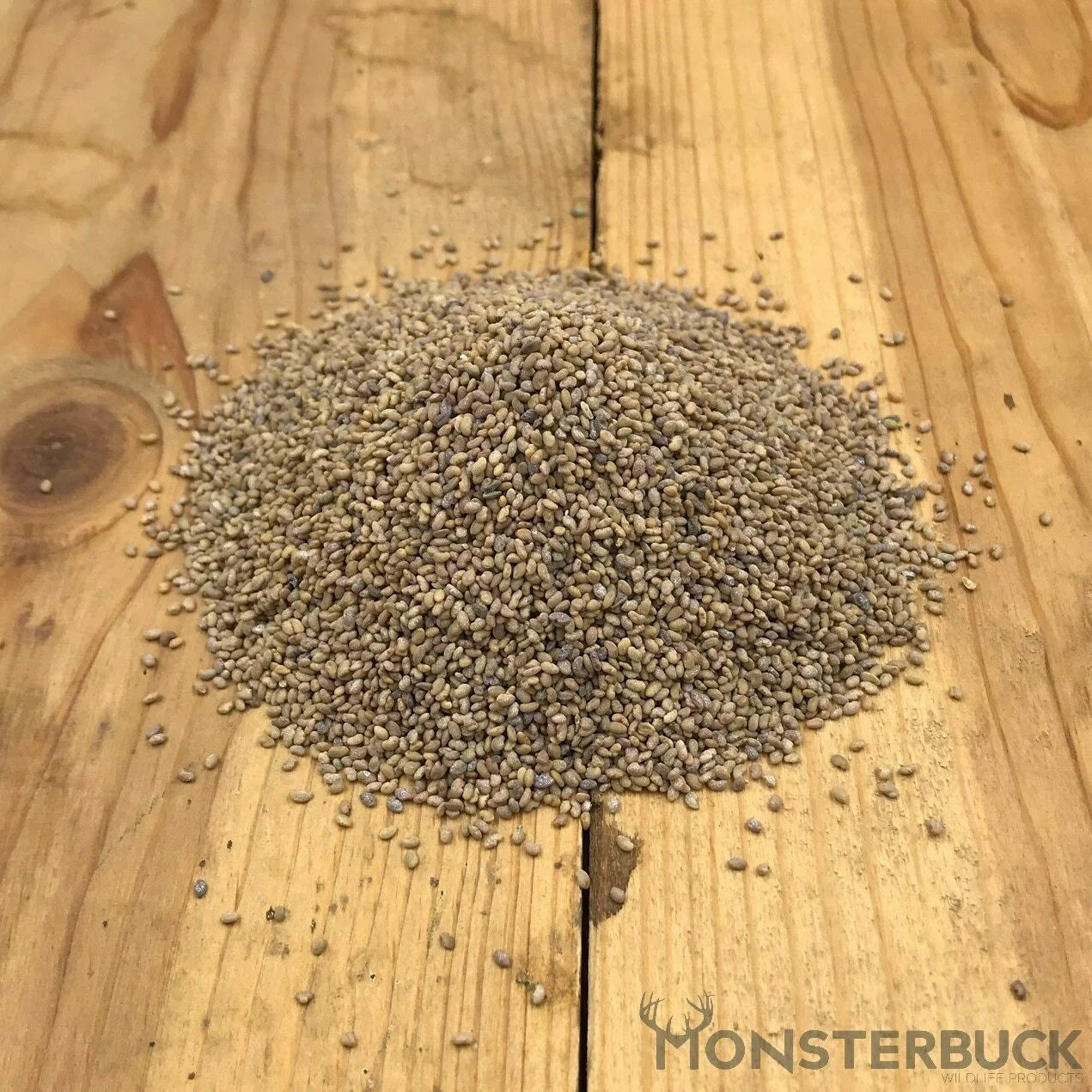 Alfalfa Food Plot Seed