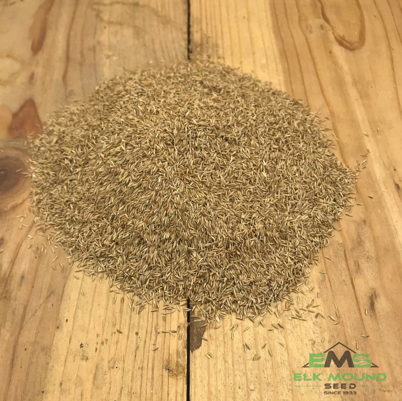 Kentucky Bluegrass Seed