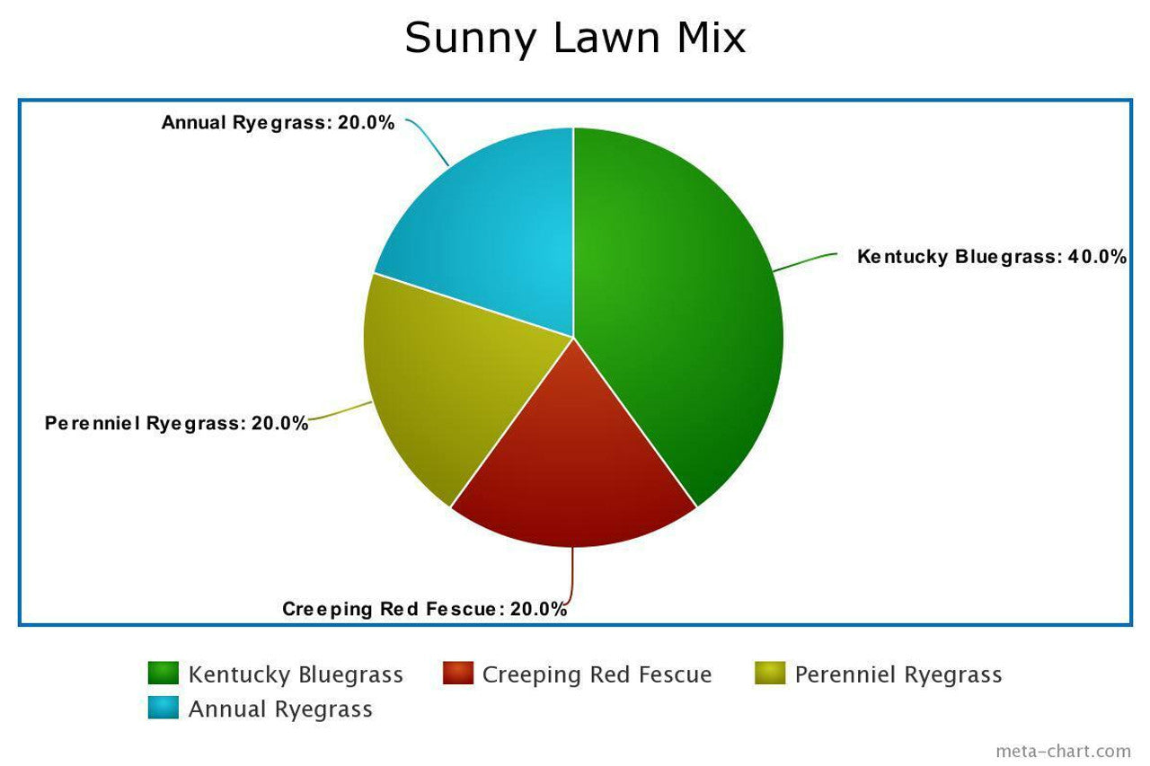 Sunny Lawn Seed Mix