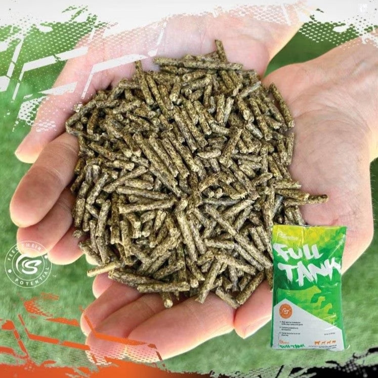 SUNGLO FULL TANK Show Feed 50lb