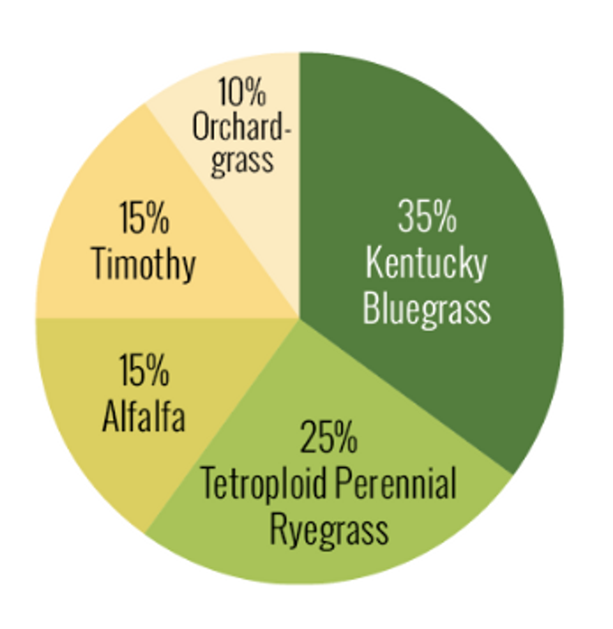 Horse Pasture Forage Seed Mix