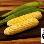 Revision Attribute II Sweet Corn (Roundup Ready)