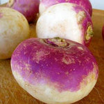 American Purple Top Rutabaga Seed