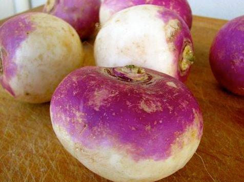 American Purple Top Rutabaga Seed