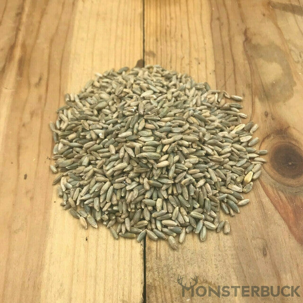 Winter Rye Food Plot Seed